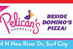 Pelican Snoballs of Surf City